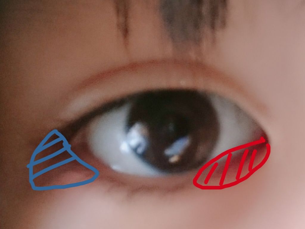 グッドカール マスカラ(ロング)/FASIO/マスカラを使ったクチコミ（2枚目）