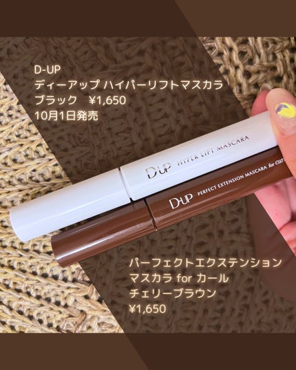 パーフェクトエクステンション マスカラ for カール/D-UP/マスカラを使ったクチコミ(2枚目)