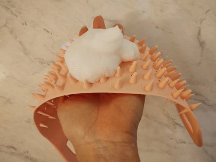 mcgroupakiko on LIPS 「育毛、美髪、発毛と日々ヘアケアにはお肌同等に配慮しています。な..」(6枚目)