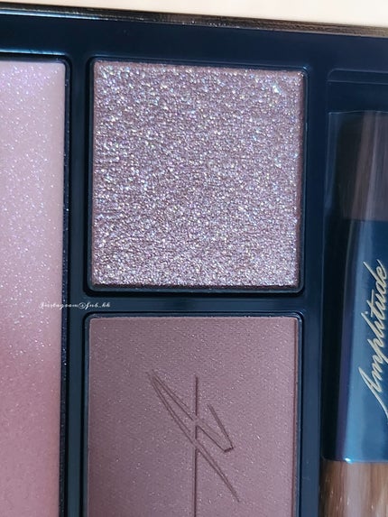 コンスピキュアス アイズ/Amplitude/アイシャドウパレットを使ったクチコミ(2枚目)