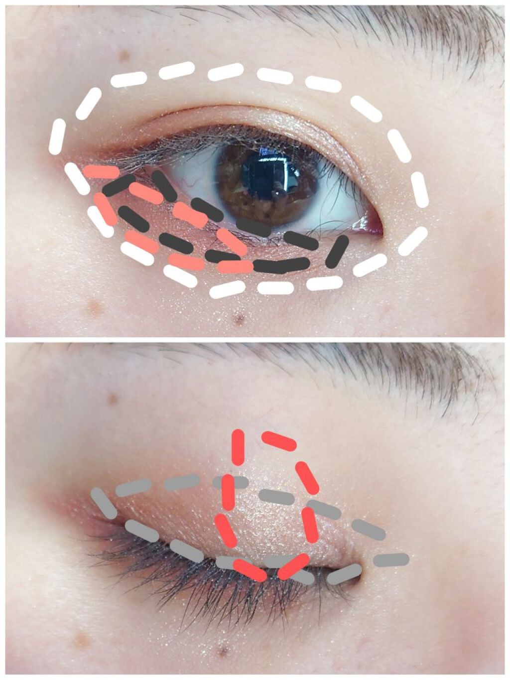 UR GLAM BLOOMING EYE COLOR PALETTE/U R GLAM/アイシャドウパレットを使ったクチコミ(3枚目)