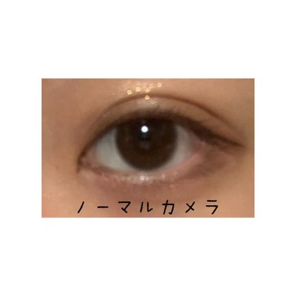 ReVIA 1day/ReVIA/ワンデー(1DAY)カラコンを使ったクチコミ(3枚目)