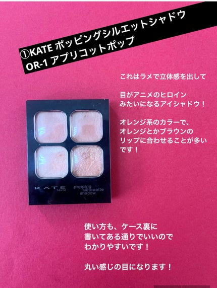 プランぷくコーデアイズ/キャンメイク/パウダーアイシャドウを使ったクチコミ(2枚目)