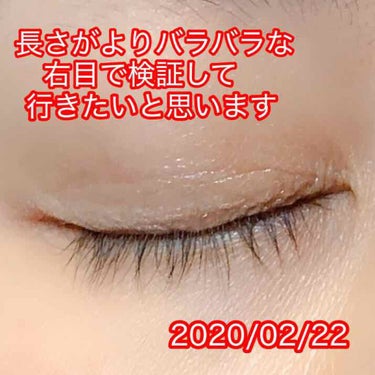 資生堂プロフェッショナル アデノバイタル アイラッシュセラムのクチコミ「#SHISEIDO
#アデノバイタル
#アイラッシュセラム
《#まつ毛用美容液》


サロン限.....」（3枚目）