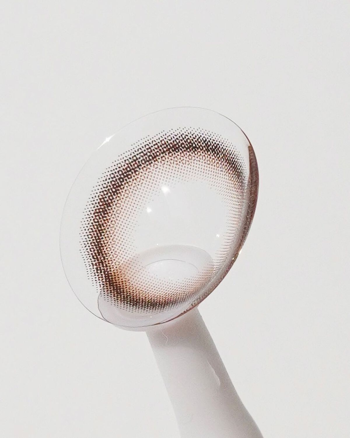 Secretive Kristen/Hapa kristin/カラーコンタクトレンズを使ったクチコミ(6枚目)