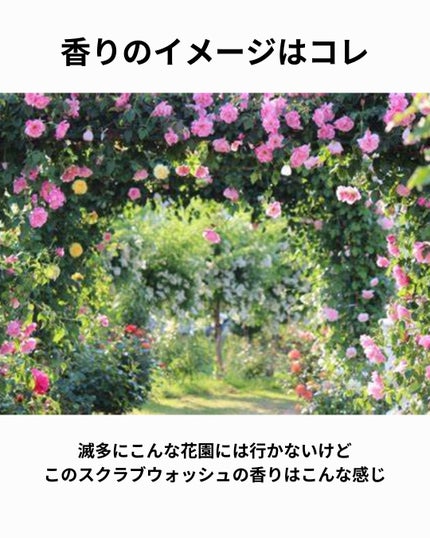 スクラブボディウォッシュ フラワーマーケット ホワイトチューリップ/LUV SCENT/ボディスクラブを使ったクチコミ(5枚目)