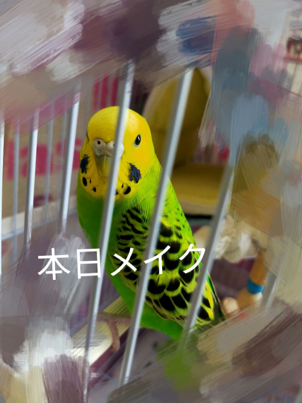 エッセンスBBパクト/CEZANNE/BBクリームを使ったクチコミ（1枚目）