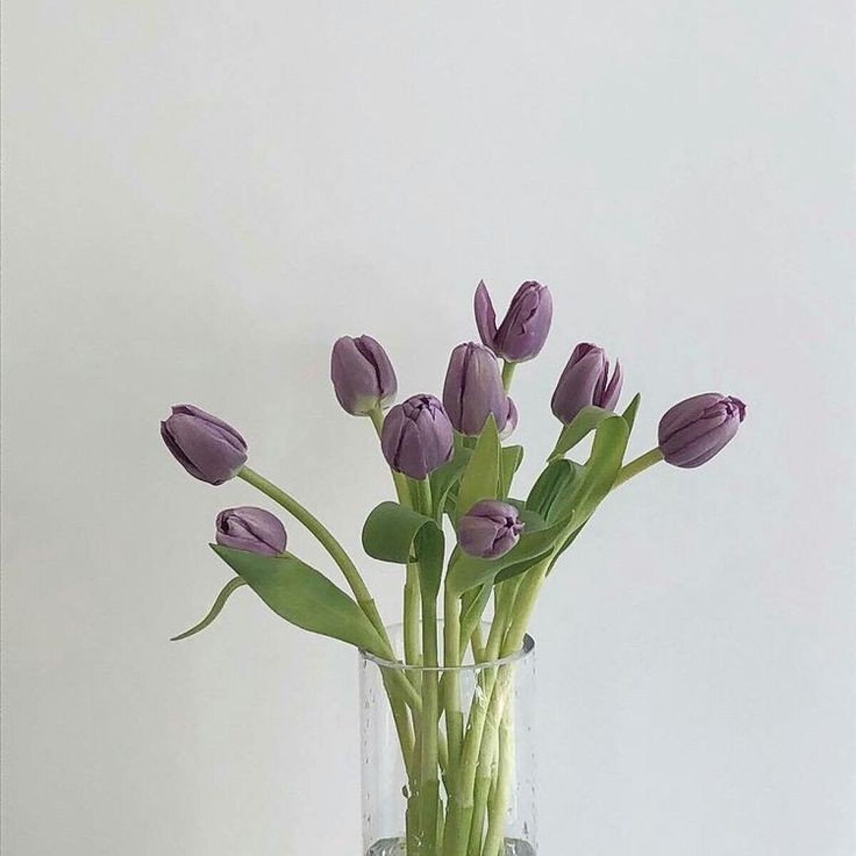 カバーパーフェクション チップコンシーラー/the SAEM/リキッドコンシーラーを使ったクチコミ（1枚目）