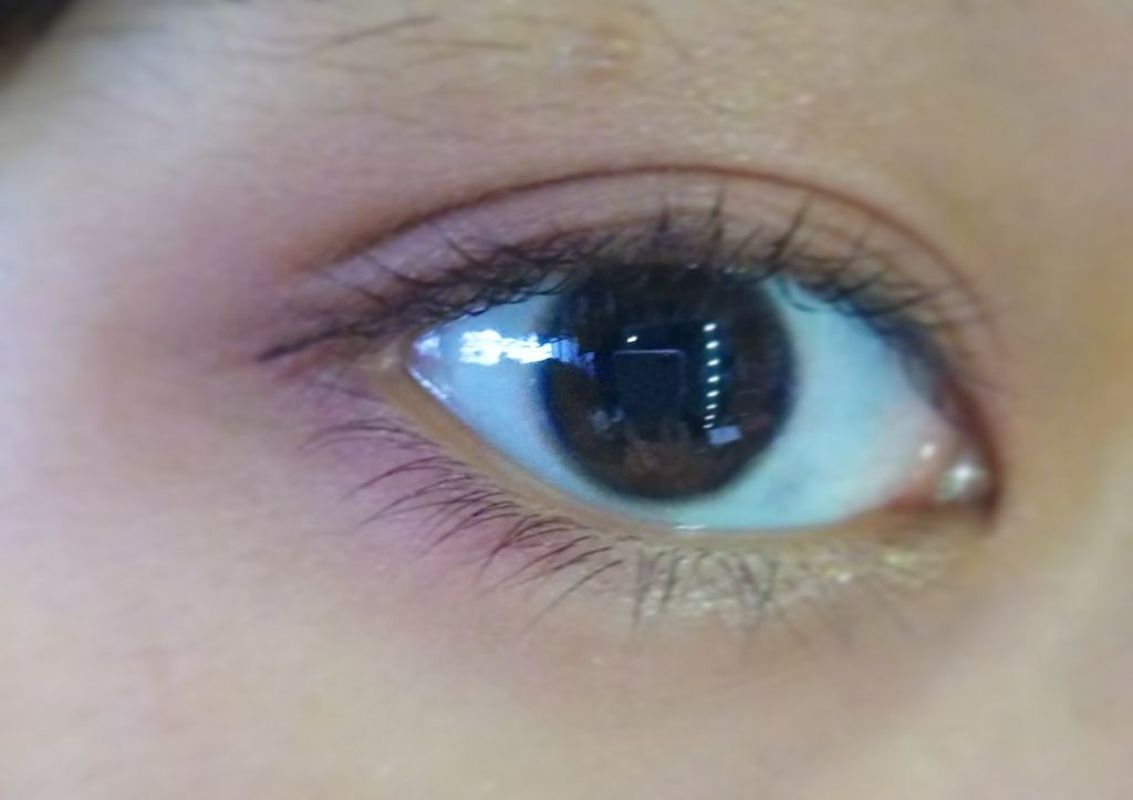 12色アイシャドウパレット/LOUJENE/アイシャドウパレットを使ったクチコミ(4枚目)