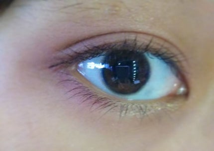 12色アイシャドウパレット/LOUJENE/アイシャドウパレットを使ったクチコミ(4枚目)