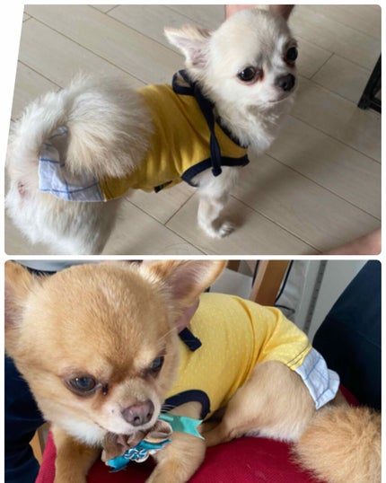 ランテルディボディローション/GIVENCHY/ボディローションを使ったクチコミ(3枚目)