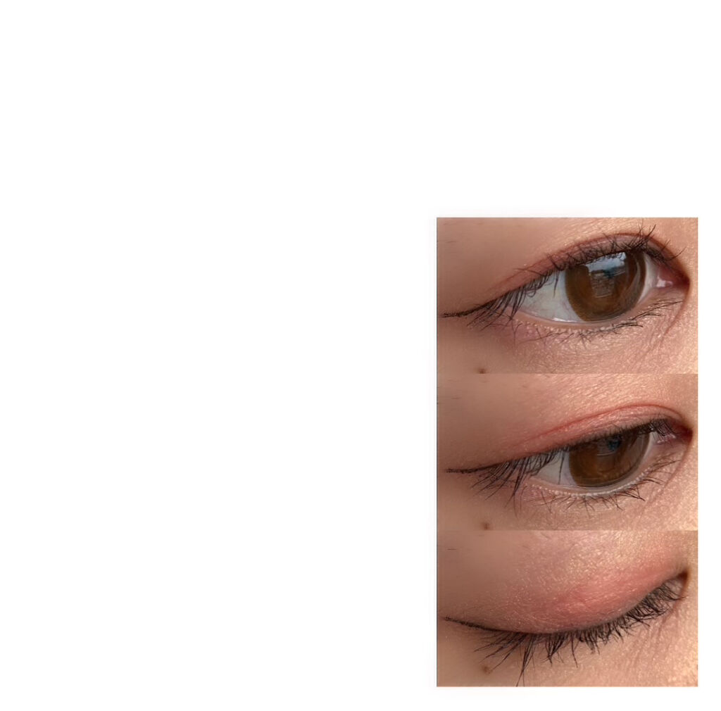 ワンダーハニー ハートフルなピュアアイシャドウ/VECUA Honey/アイシャドウパレットを使ったクチコミ（3枚目）