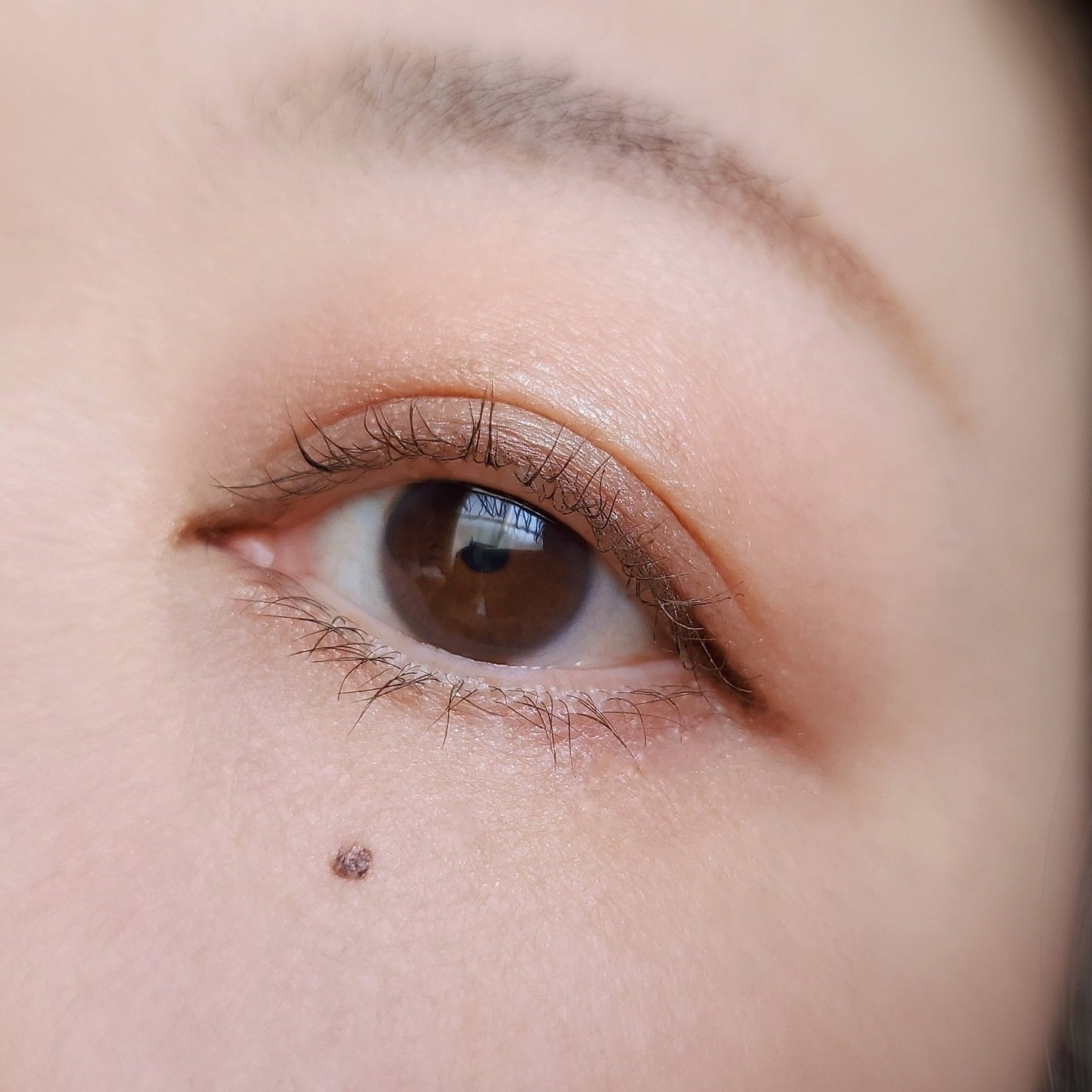 ミネラルクラッシィシャドー/エトヴォス/アイシャドウパレットを使ったクチコミ(3枚目)