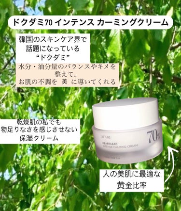 
○ドクダミ70 インテンス カーミングクリーム



50ml      約3,800円～4,000(Qoo10 公式)




・敏感肌向け




🌱韓国産ドクダミエキスが敏感な肌を鎮静

↓

