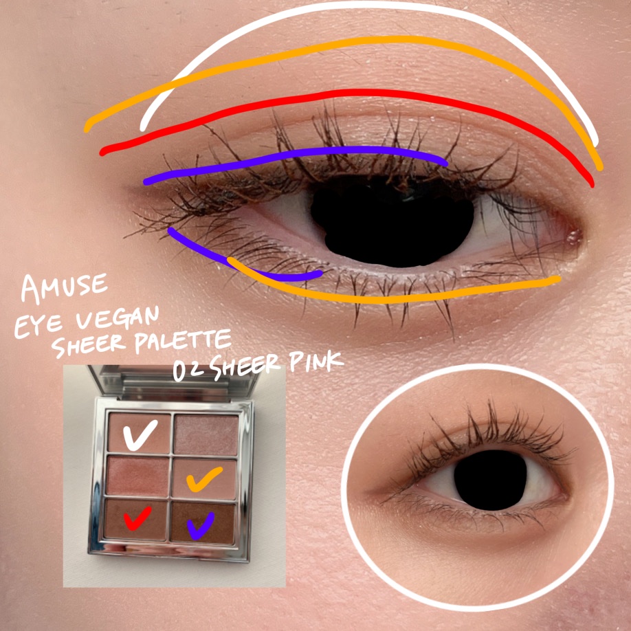 アイ ヴィーガン シアーパレット/AMUSE/アイシャドウパレットを使ったクチコミ（2枚目）