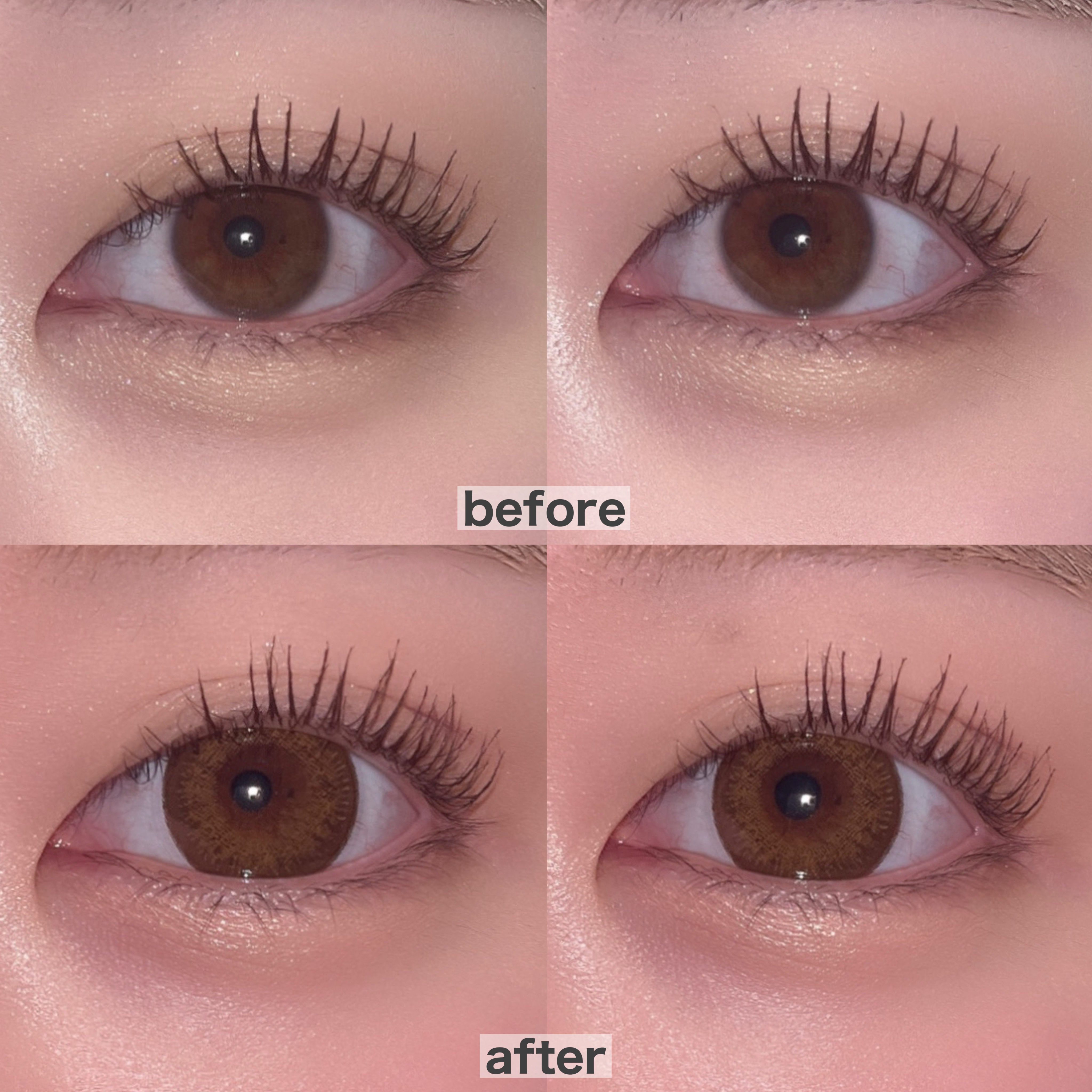 FLANMY 1day ダークモカ/FLANMY/ワンデー（１DAY）カラコンを使ったクチコミ（2枚目）