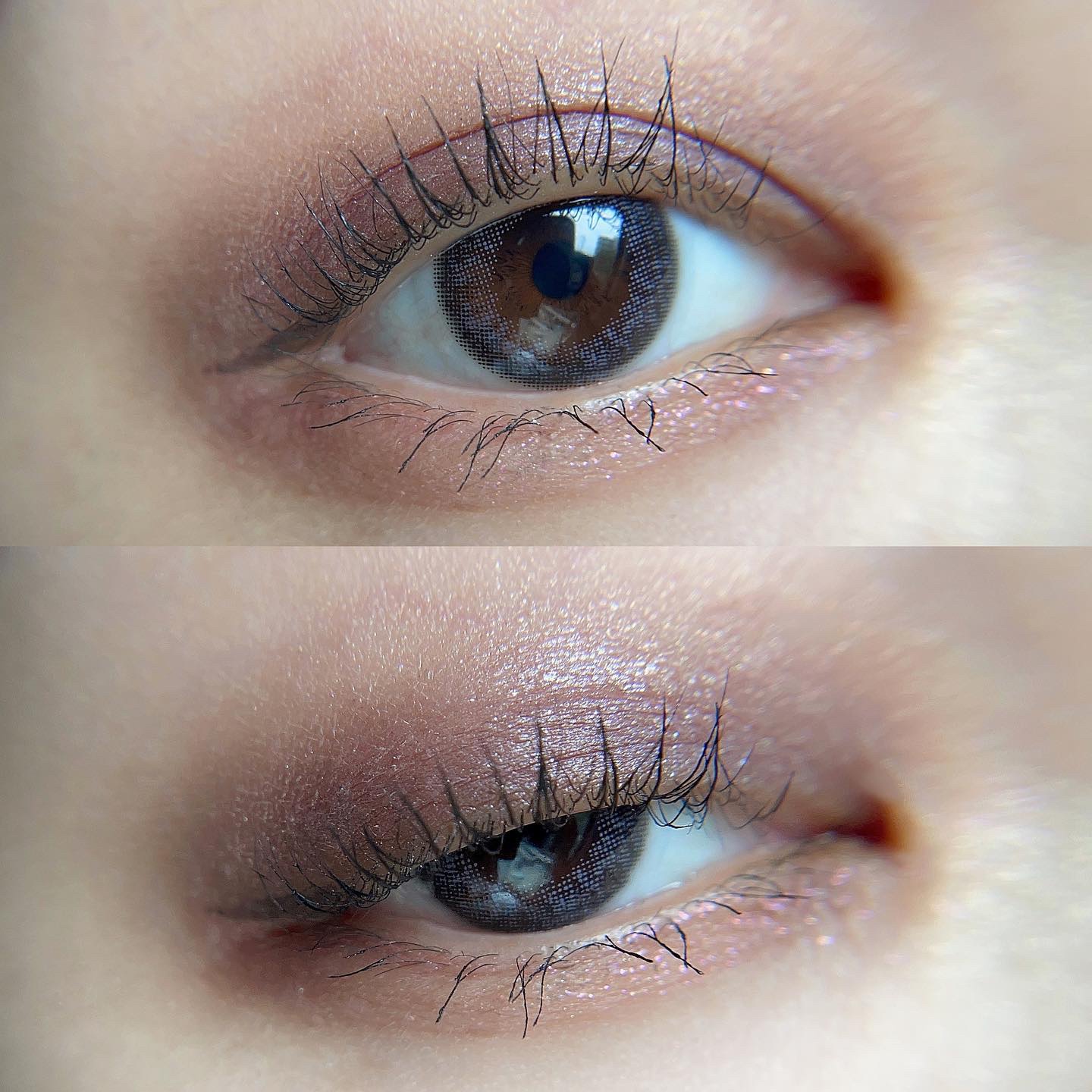 N’s COLLECTION 1day/N’s COLLECTION/ワンデー（１DAY）カラコンを使ったクチコミ（1枚目）