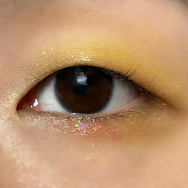  诗蒂娅九色眼影盘 (9 Colors Eye Shadow Palette)/SHEDELLA/アイシャドウパレットを使ったクチコミ（6枚目）