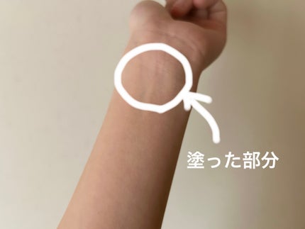 デリケートシルクベールアートプライマー/TFIT/化粧下地を使ったクチコミ(7枚目)