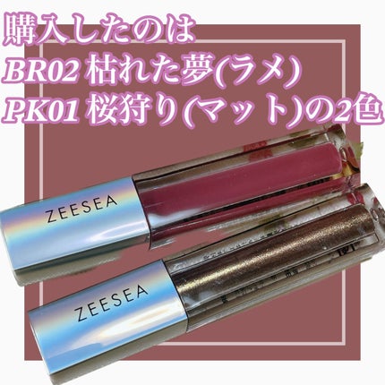 ダイヤモンドシリーズ 星空リキッドアイシャドウ BR 02 枯れた夢/ZEESEA/リキッドアイシャドウの画像