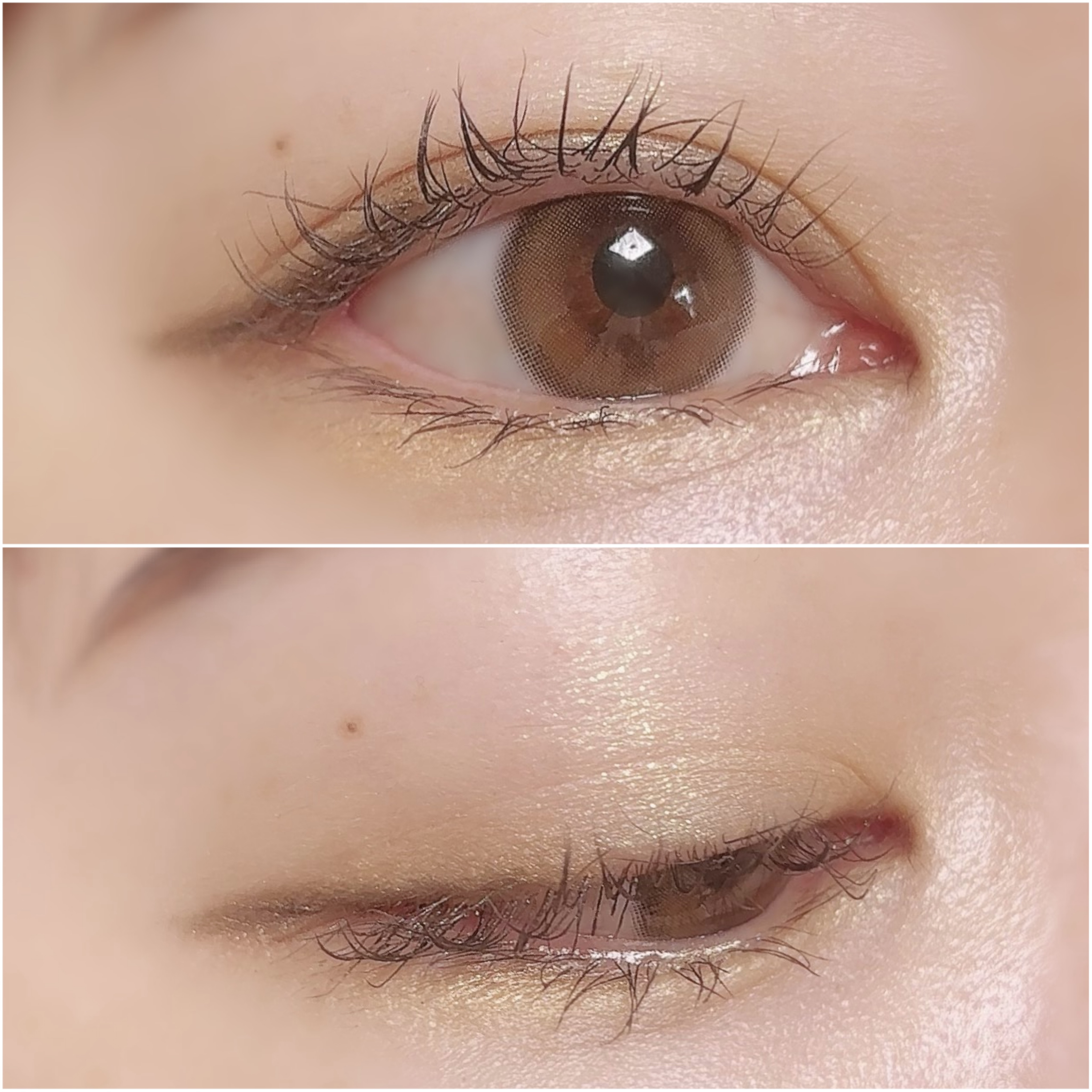 アイカラーパレット/heme/アイシャドウパレットを使ったクチコミ（3枚目）