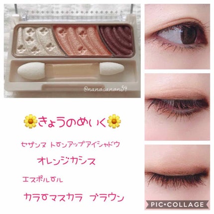 トーンアップアイシャドウ/CEZANNE/アイシャドウパレットを使ったクチコミ(1枚目)