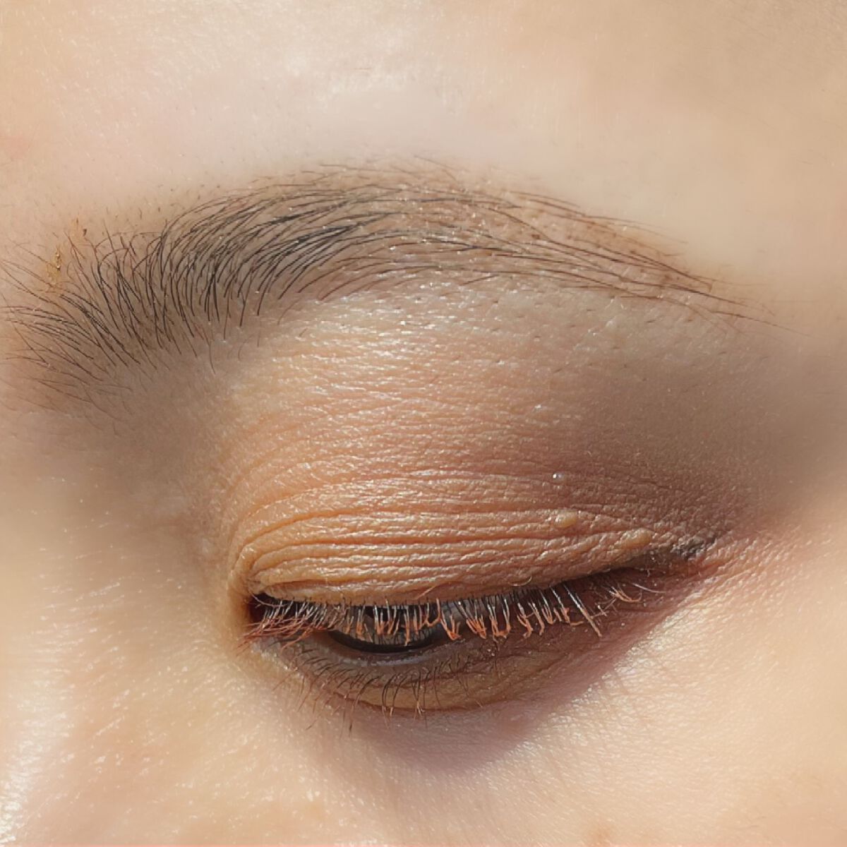 バランシングカラーパレット/KATE/アイシャドウパレットを使ったクチコミ(6枚目)