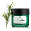 THE BODY SHOP ティーツリー スキンクリアリング ナイトマスク