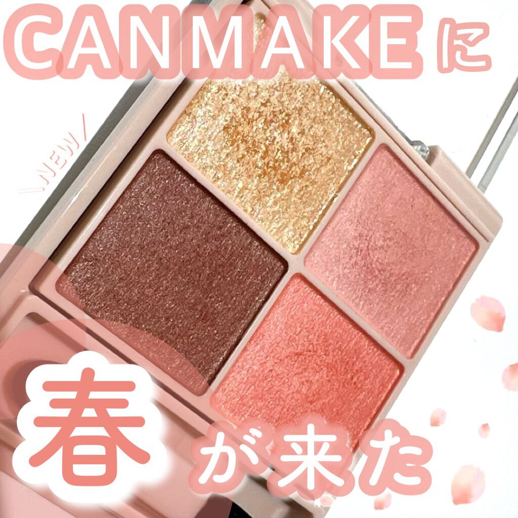 シルキースフレアイズ（マットタイプ）/キャンメイク/アイシャドウパレットを使ったクチコミ（1枚目）