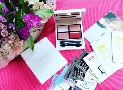 ヴォランタリーベイシス アイパレット/Celvoke/アイシャドウパレットを使ったクチコミ(1枚目)