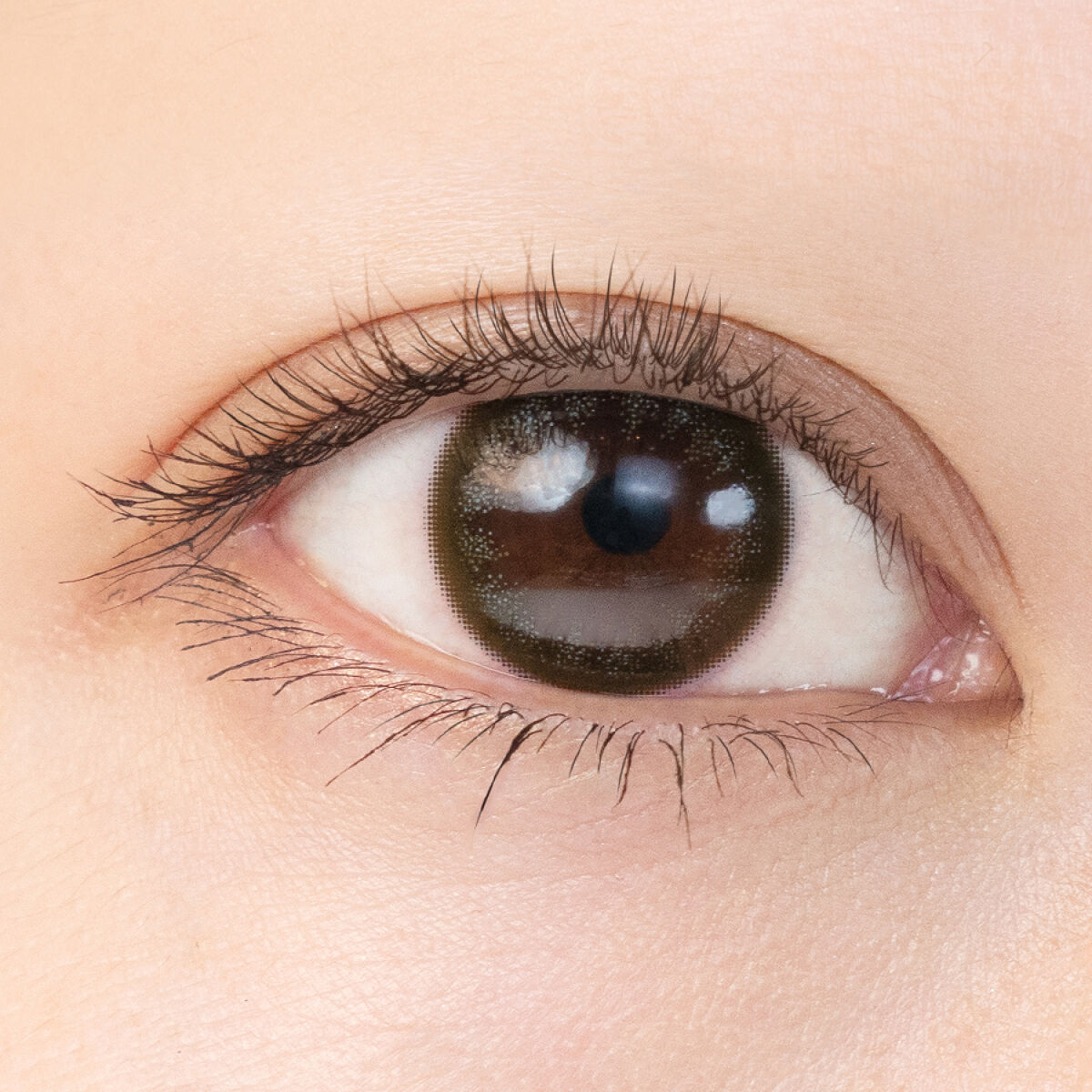 OvE（オヴィ） 1day OvE 2