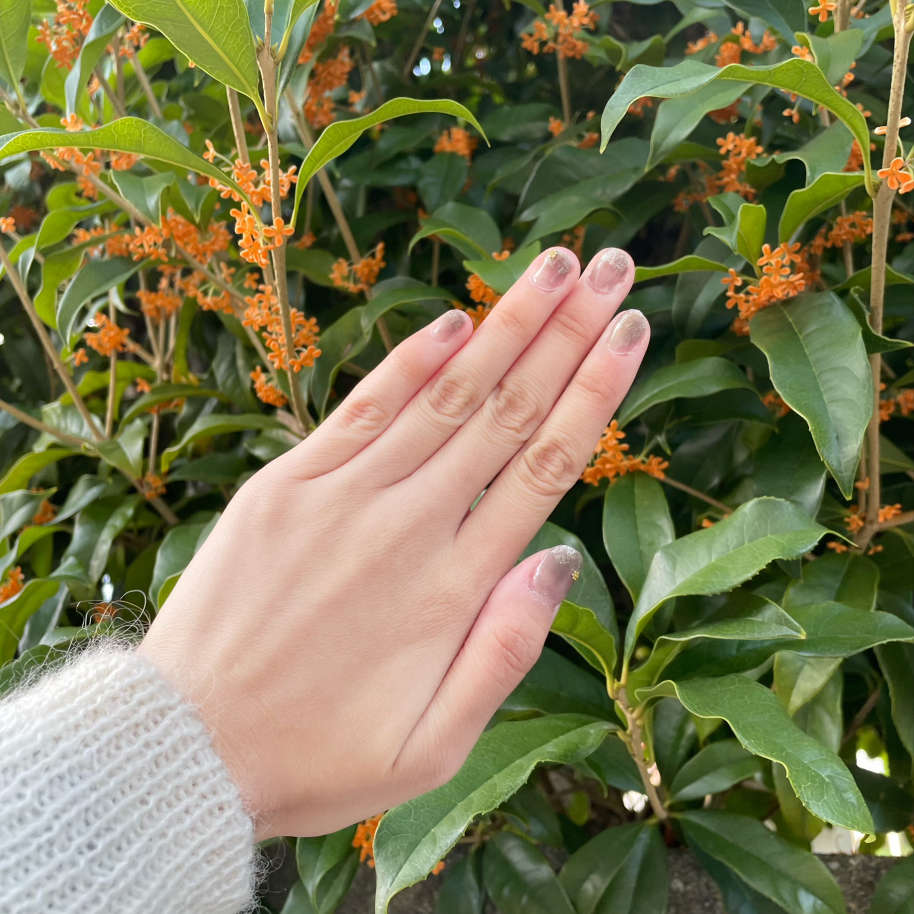 ジェルネイル（ライト対応）/セリア/ジェルネイルを使ったクチコミ（2枚目）