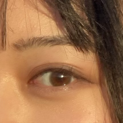 ReVIA 1day/ReVIA/ワンデー（１DAY）カラコンを使ったクチコミ（3枚目）