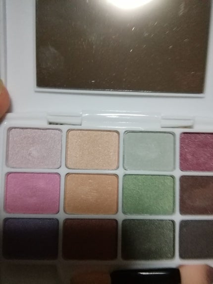 12色アイシャドウパレット/LOUJENE/アイシャドウパレットを使ったクチコミ(1枚目)