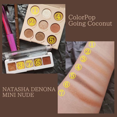 Going Coconuts Bronzed Eyeshadow Palette/ColourPop/パウダーアイシャドウを使ったクチコミ（2枚目）