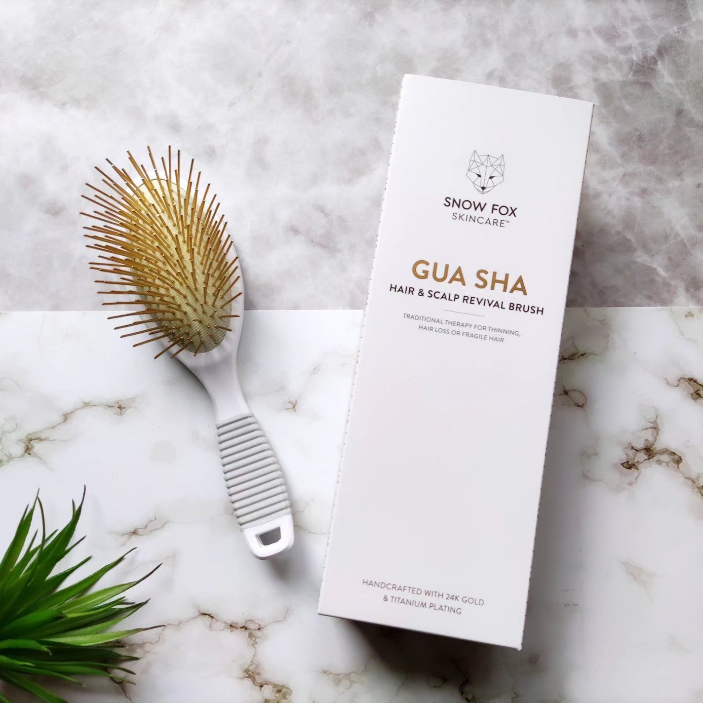 プレミアム FOXカッサ ヘアブラシ/SNOW FOX SKINCARE/ヘアブラシを使ったクチコミ(1枚目)