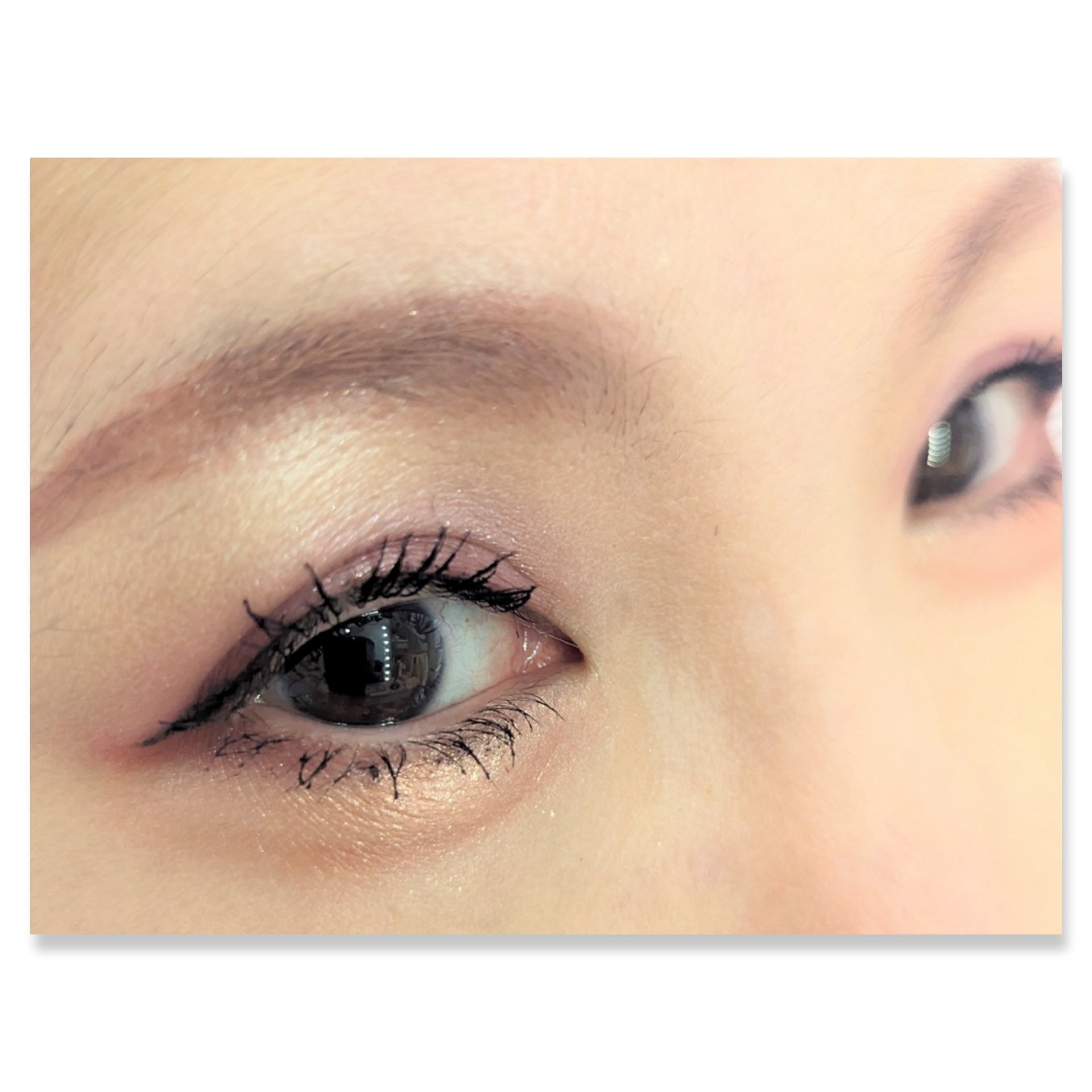 プレイカラーアイズミニ　ローズボム ローズボム/ETUDE/アイシャドウパレットを使ったクチコミ（2枚目）