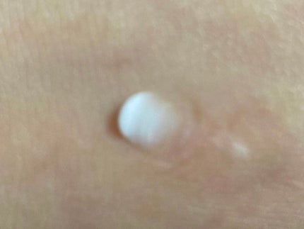 ラスティングマルチアイベース WP/キャンメイク/アイシャドウベースを使ったクチコミ(3枚目)