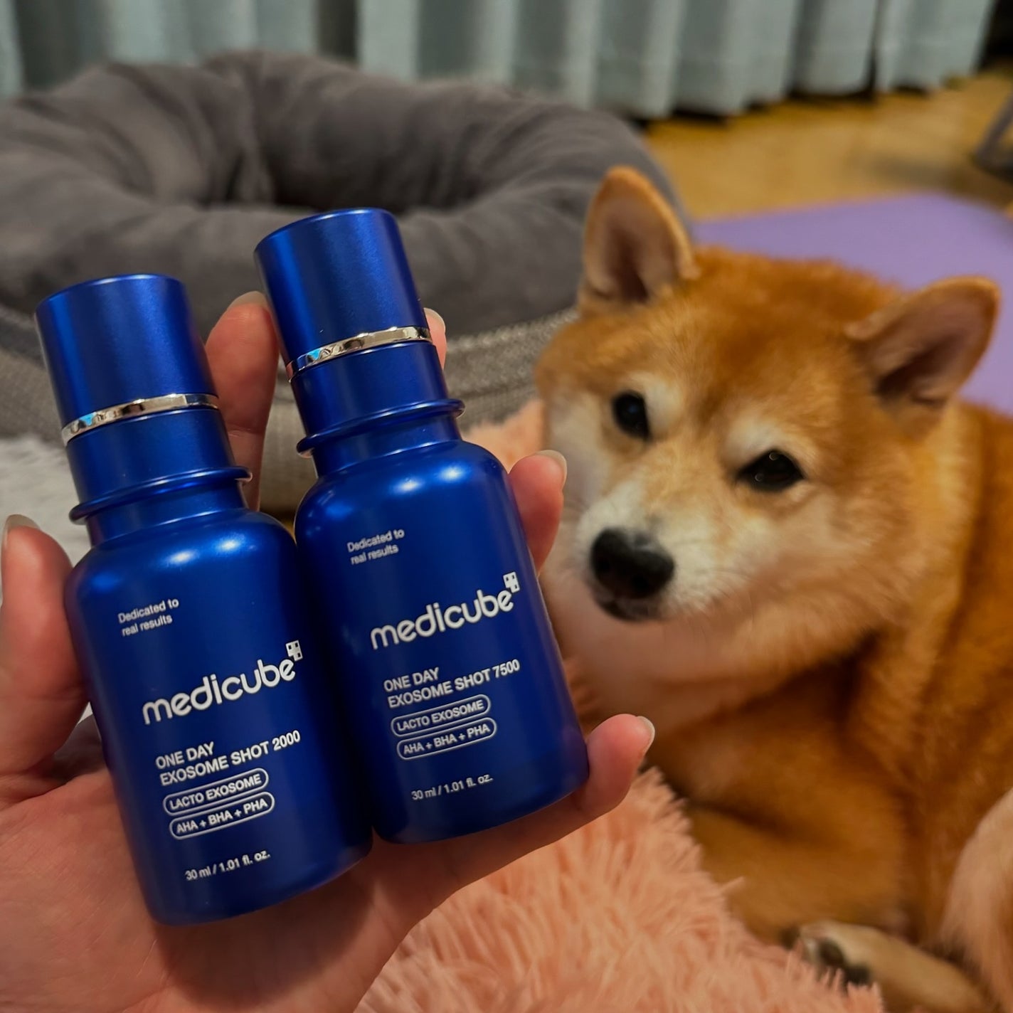 ゼロ1DAYエクソソームショット2000/MEDICUBE/美容液を使ったクチコミ(1枚目)