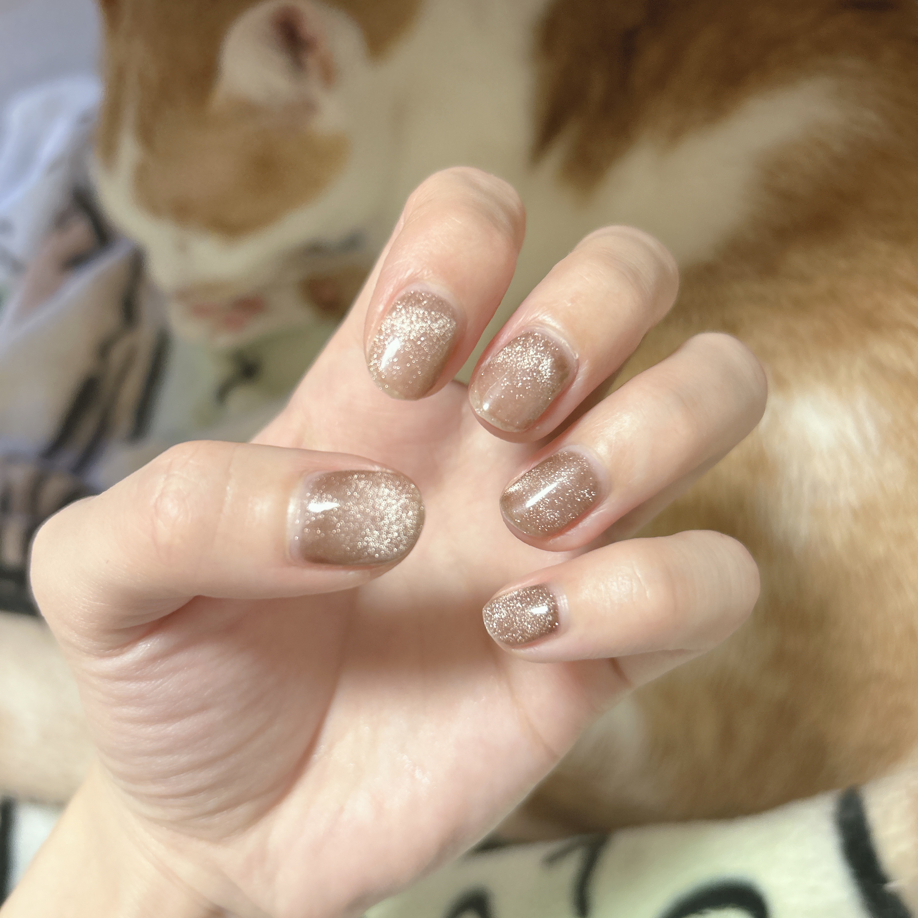 マグネットスティックネイルジェル/3COINS/ジェルネイルを使ったクチコミ（1枚目）