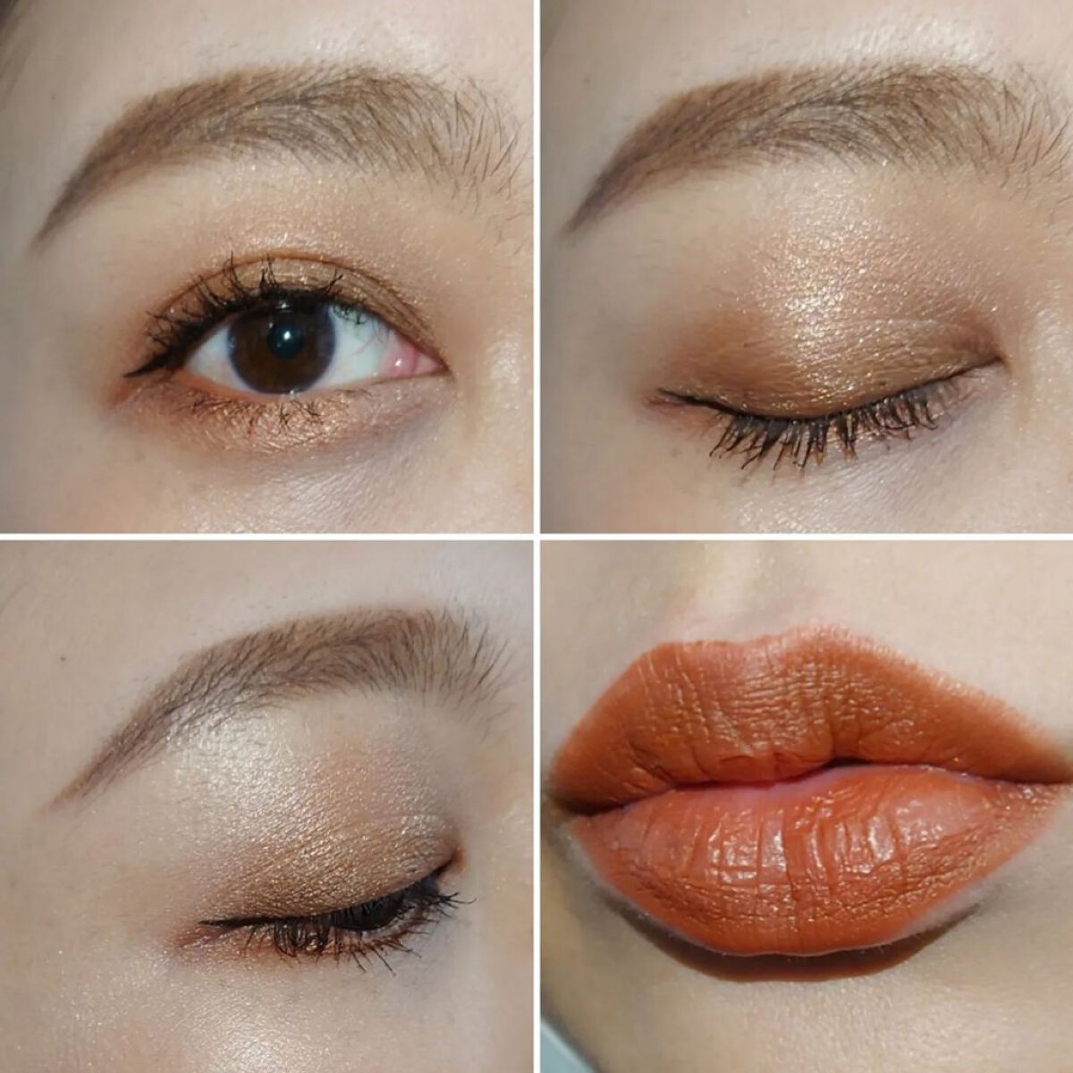 ロイヤルヴィンテージ アイズ 014 テラコッタブラウン/リンメル ロンドン/アイシャドウパレットを使ったクチコミ（2枚目）