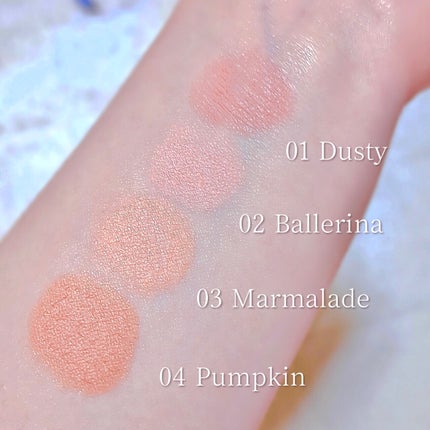 フォギーヴェールブラッシャー/SELVE/パウダーチークを使ったクチコミ(7枚目)