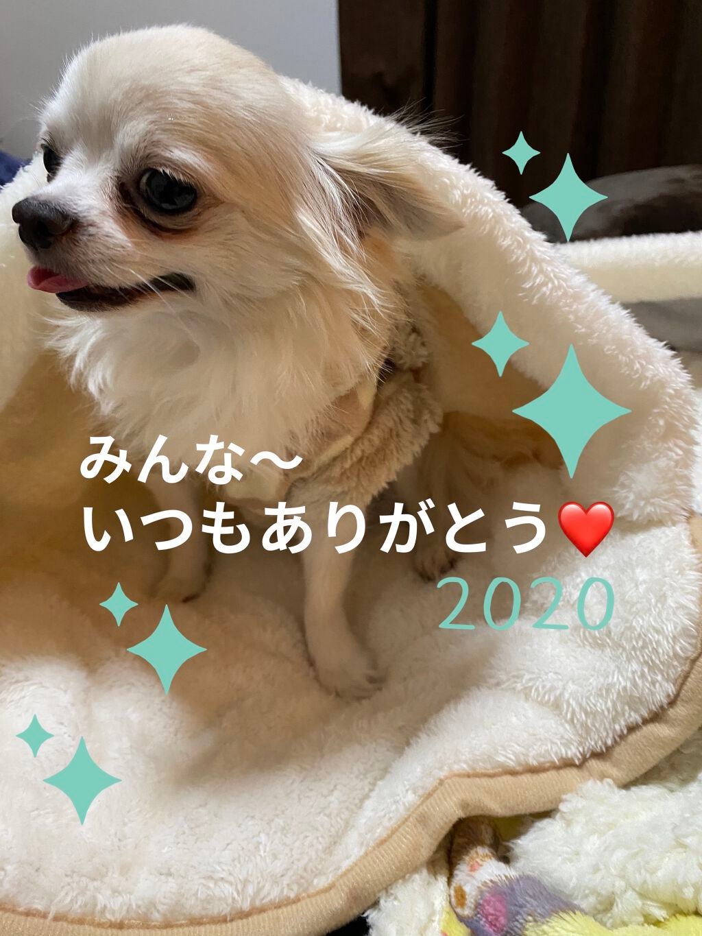 パラドゥ シングルアイシャドウ /パラドゥ/単色アイシャドウを使ったクチコミ(9枚目)