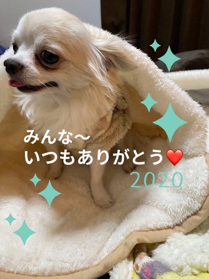 パラドゥ シングルアイシャドウ /パラドゥ/単色アイシャドウを使ったクチコミ(9枚目)