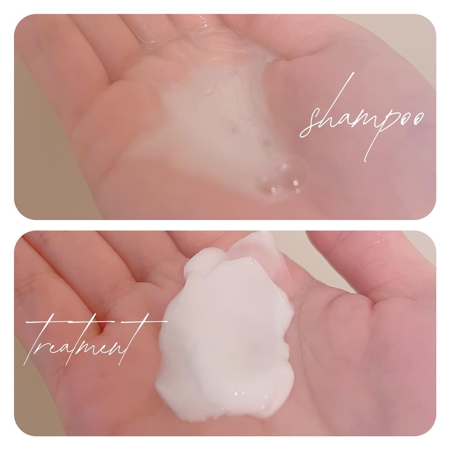 ハイセラ シャンプー / トリートメント ペアー＆フリージア シャンプー/ミルクバオバブ/シャンプー・コンディショナーを使ったクチコミ（3枚目）