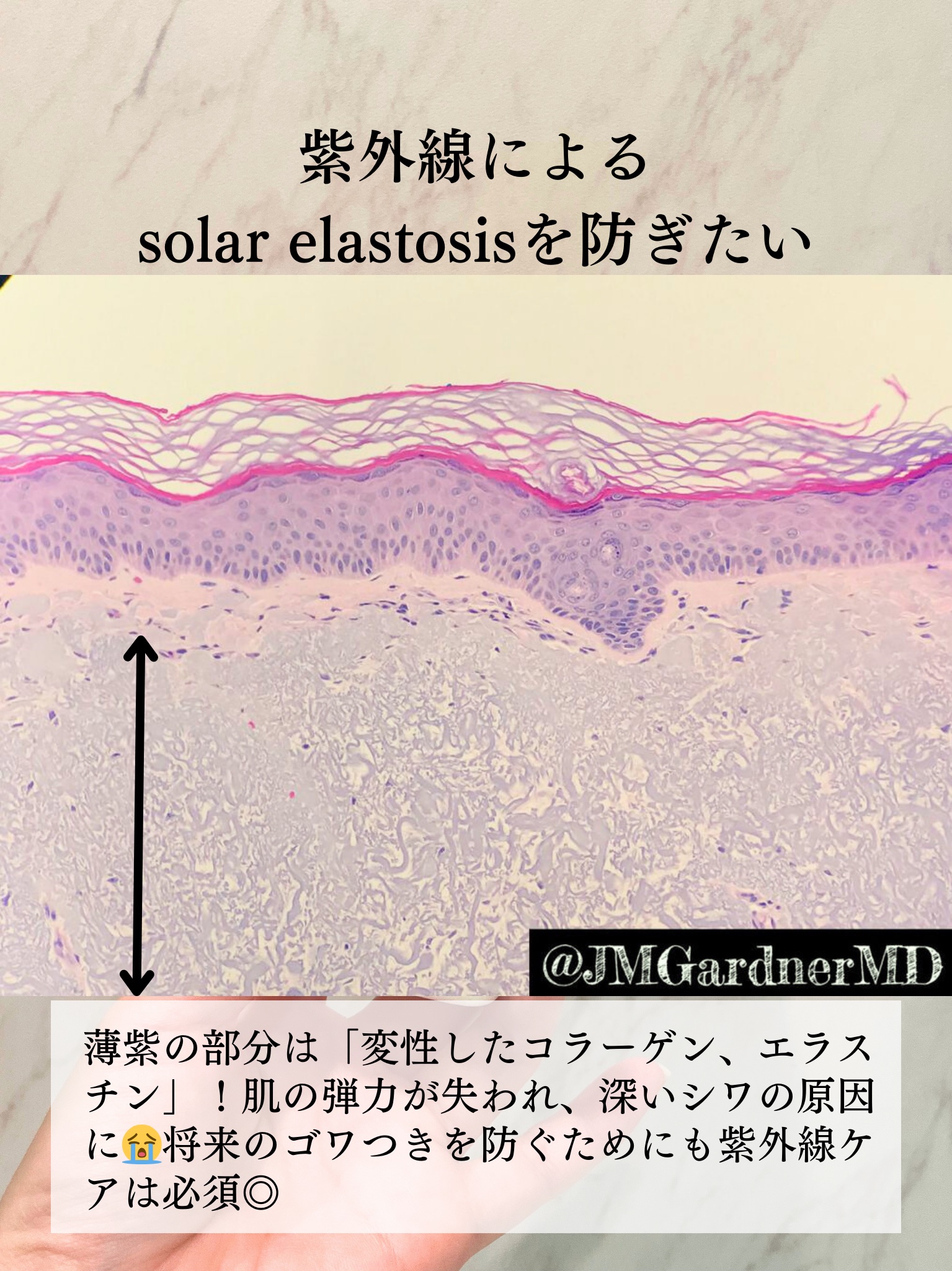 クリーム UFC/Kiehl's/フェイスクリームを使ったクチコミ（3枚目）