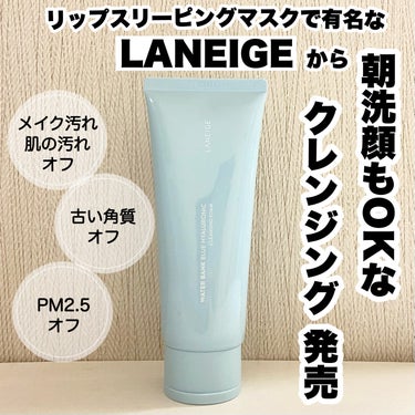 ウォーターバンク クレンジングフォーム/LANEIGE/洗顔フォームを使ったクチコミ（1枚目）