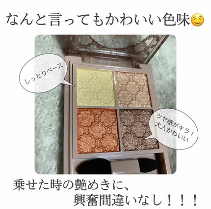 グロッシーリッチ アイズ N/Visée/アイシャドウパレットを使ったクチコミ(2枚目)