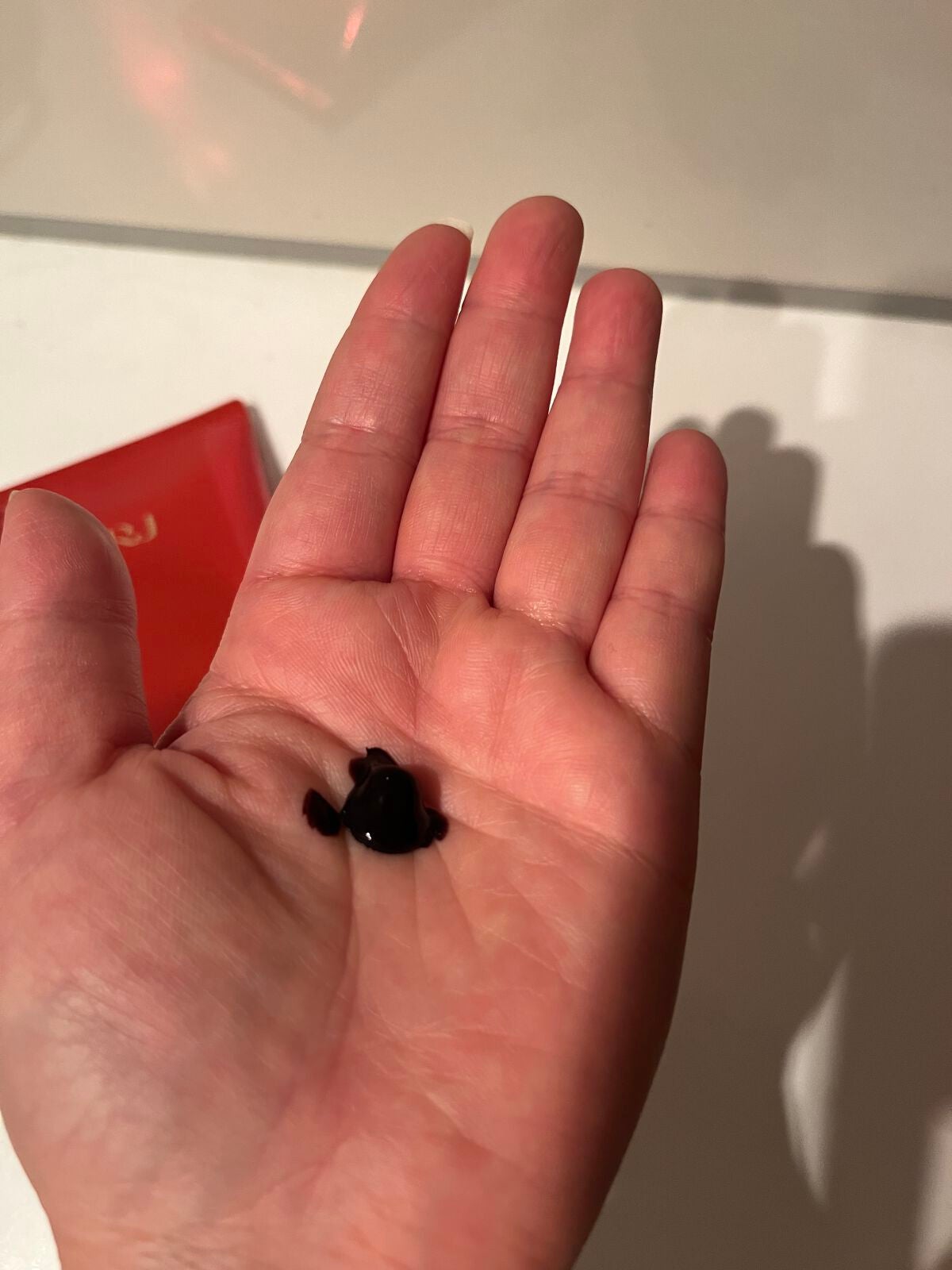 RJヘアカラートリートメント/アピセラピーコスメティクス/洗い流すヘアトリートメントを使ったクチコミ(6枚目)