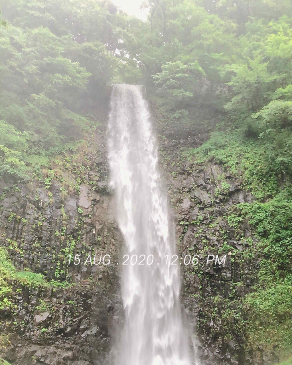 orange_gloss_p6gl on LIPS 「メレンゲクッキーをっくったよー🍪..」(2枚目)